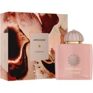 عطر ادوپرفیوم یونیسکس آمواج مدل گایدنس حجم ۱۰۰ میلی‌لیتر